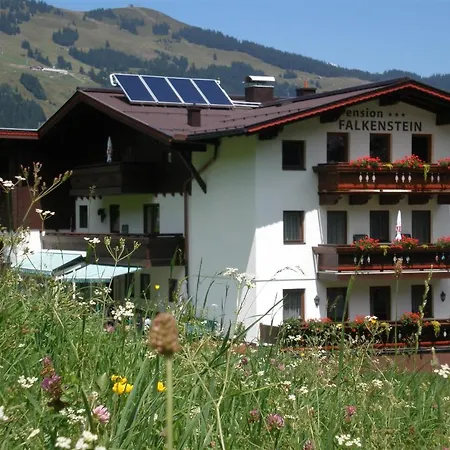 Falkenstein Saalbach-Hinterglemm