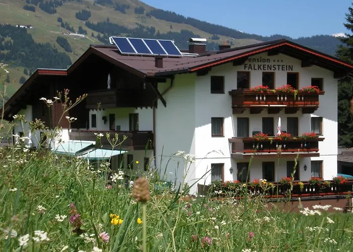 Falkenstein Saalbach-Hinterglemm